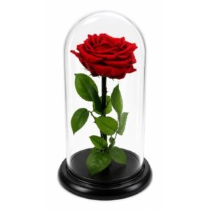 Rosas inmortalizadas